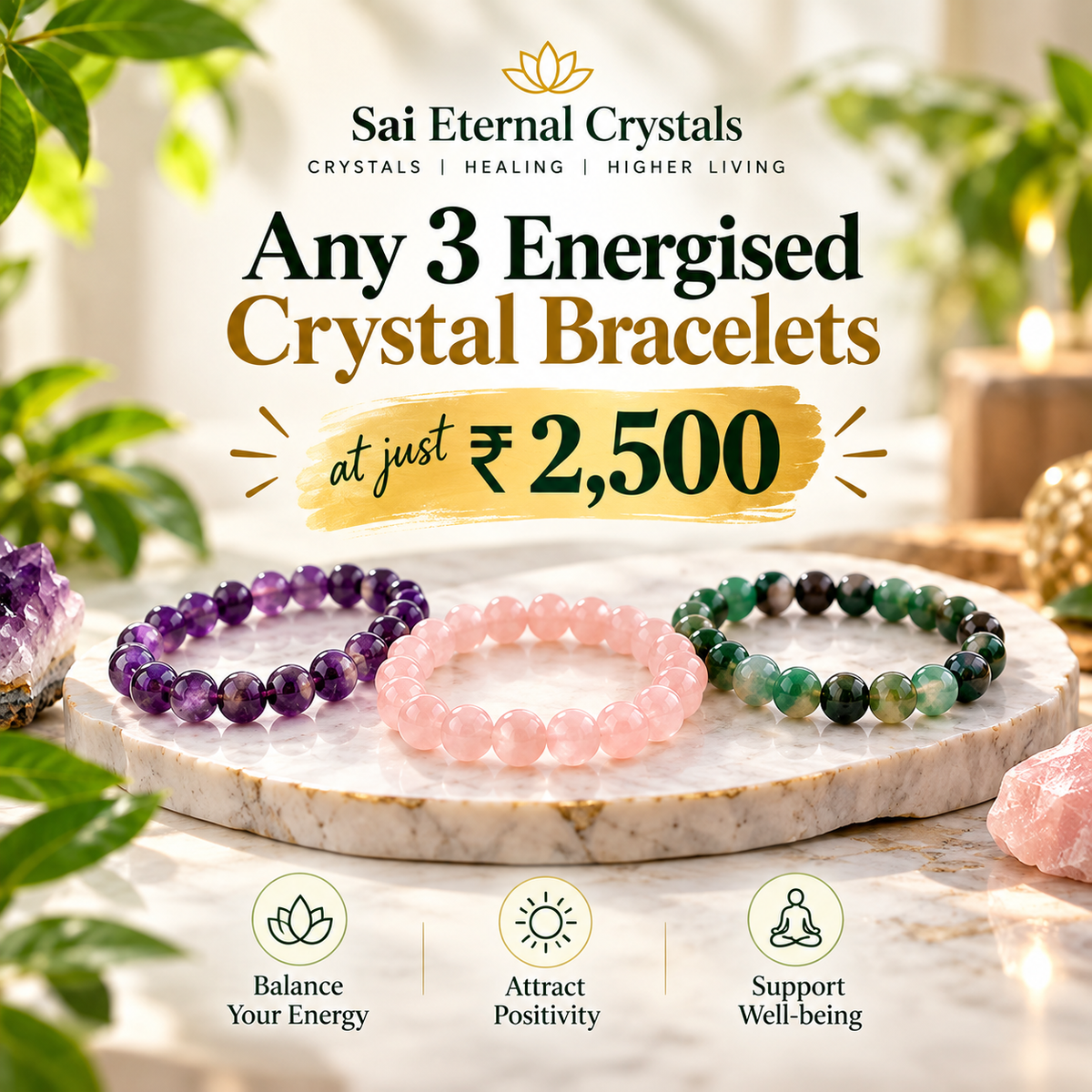 Special offer
